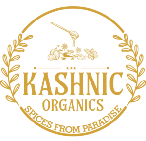kashnic logo resize